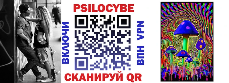 Галлюциногенные грибы Psilocybine cubensis  Южно-Сухокумск 